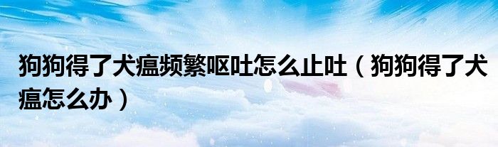 狗狗得了犬瘟频繁呕吐怎么止吐（狗狗得了犬瘟怎么办）