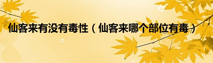 仙客来有没有毒性（仙客来哪个部位有毒）