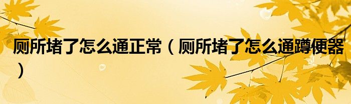 厕所堵了怎么通正常（厕所堵了怎么通蹲便器）