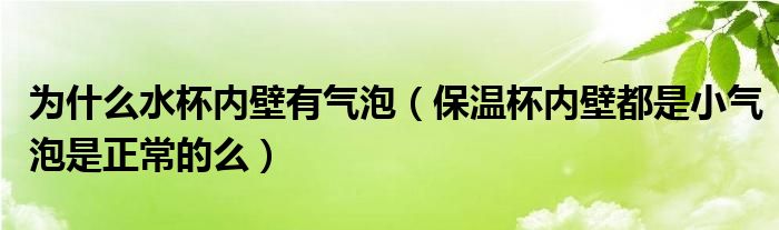 为什么水杯内壁有气泡（保温杯内壁都是小气泡是正常的么）