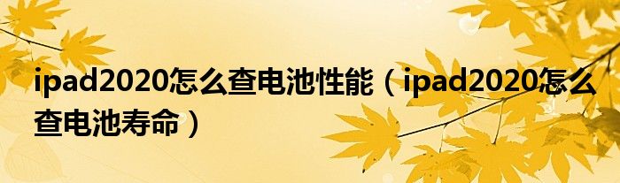 ipad2020怎么查电池性能（ipad2020怎么查电池寿命）