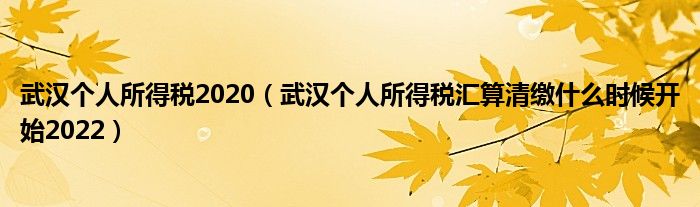 武汉个人所得税2020（武汉个人所得税汇算清缴什么时候开始2022）