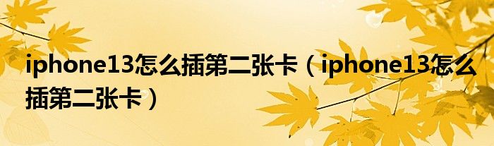 iphone13怎么插第二张卡（iphone13怎么插第二张卡）