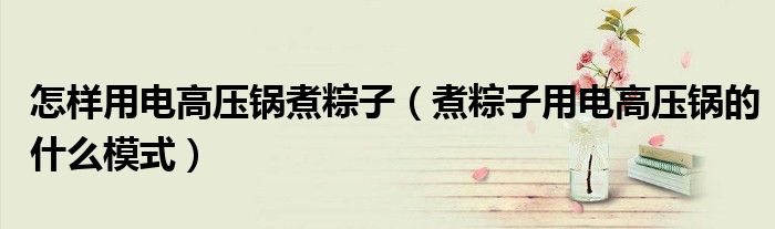 怎样用电高压锅煮粽子（煮粽子用电高压锅的什么模式）