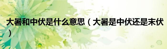 大暑和中伏是什么意思（大暑是中伏还是末伏）