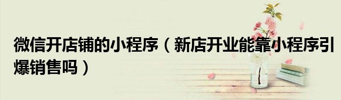 微信开店铺的小程序（新店开业能靠小程序引爆销售吗）