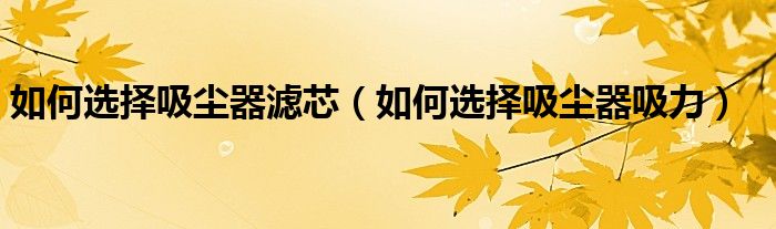 如何选择吸尘器滤芯（如何选择吸尘器吸力）