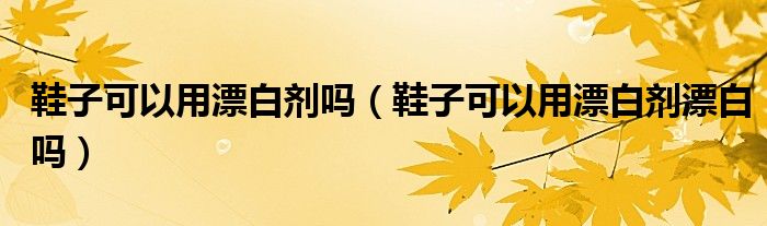 鞋子可以用漂白剂吗（鞋子可以用漂白剂漂白吗）