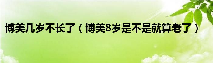 博美几岁不长了（博美8岁是不是就算老了）