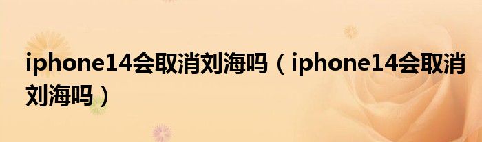 iphone14会取消刘海吗（iphone14会取消刘海吗）