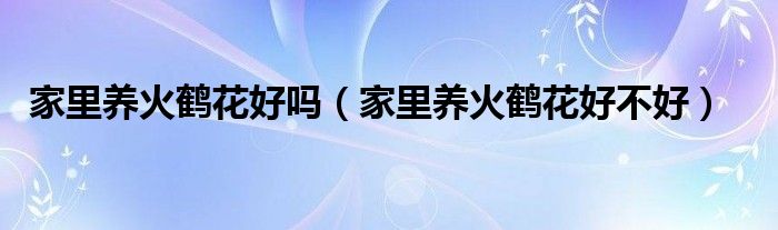 家里养火鹤花好吗（家里养火鹤花好不好）