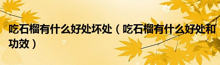 吃石榴有什么好处坏处（吃石榴有什么好处和功效）