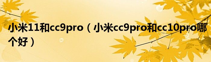 小米11和cc9pro（小米cc9pro和cc10pro哪个好）