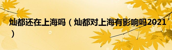 灿都还在上海吗（灿都对上海有影响吗2021）