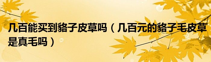 几百能买到貉子皮草吗（几百元的貉子毛皮草是真毛吗）