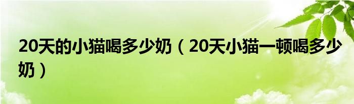 20天的小猫喝多少奶（20天小猫一顿喝多少奶）