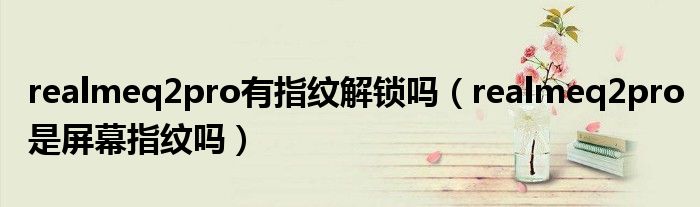 realmeq2pro有指纹解锁吗（realmeq2pro是屏幕指纹吗）