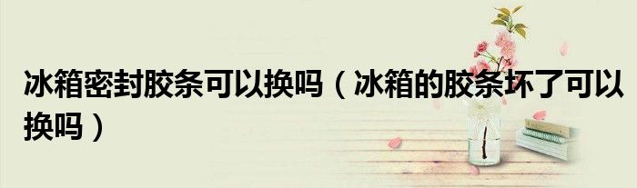 冰箱密封胶条可以换吗（冰箱的胶条坏了可以换吗）