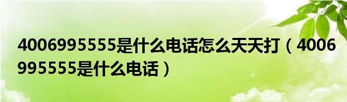 4006995555是什么电话怎么天天打（4006995555是什么电话）