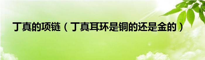 丁真的项链（丁真耳环是铜的还是金的）