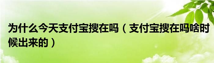 为什么今天支付宝搜在吗（支付宝搜在吗啥时候出来的）
