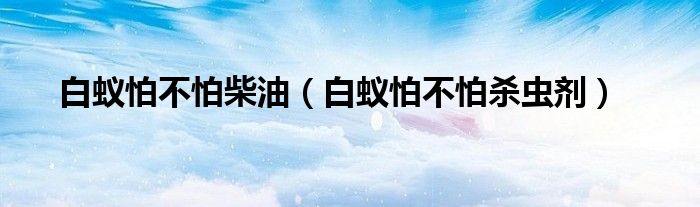 白蚁怕不怕柴油（白蚁怕不怕杀虫剂）