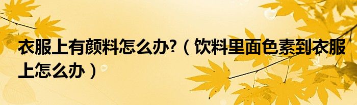 衣服上有颜料怎么办?（饮料里面色素到衣服上怎么办）
