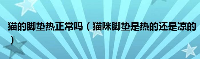 猫的脚垫热正常吗（猫咪脚垫是热的还是凉的）