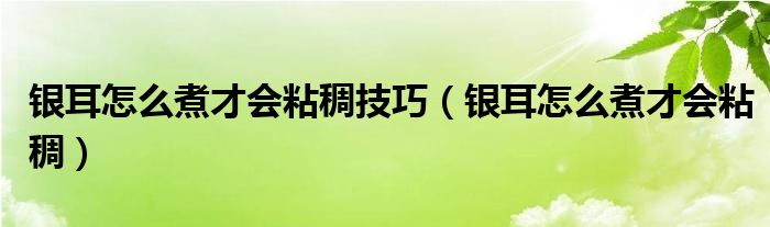 银耳怎么煮才会粘稠技巧（银耳怎么煮才会粘稠）