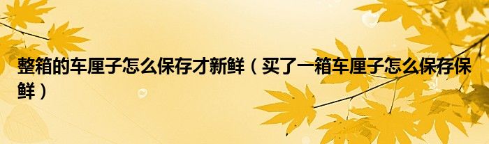 整箱的车厘子怎么保存才新鲜（买了一箱车厘子怎么保存保鲜）