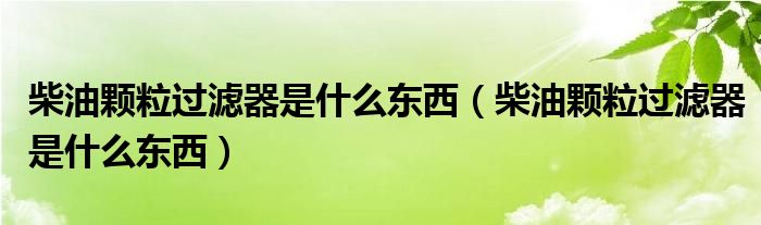 柴油颗粒过滤器是什么东西（柴油颗粒过滤器是什么东西）