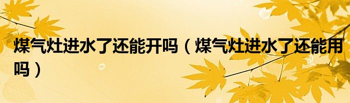 煤气灶进水了还能开吗（煤气灶进水了还能用吗）