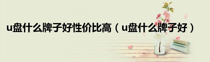 u盘什么牌子好性价比高（u盘什么牌子好）
