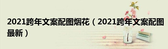 2021跨年文案配图烟花（2021跨年文案配图最新）