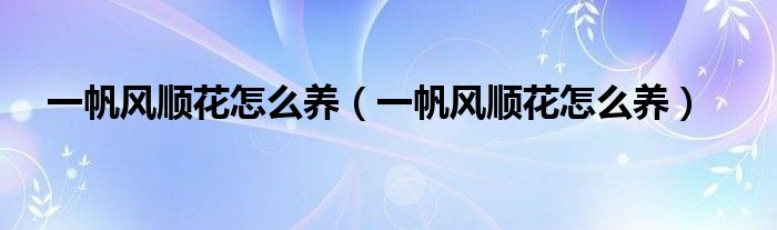 一帆风顺花怎么养（一帆风顺花怎么养）