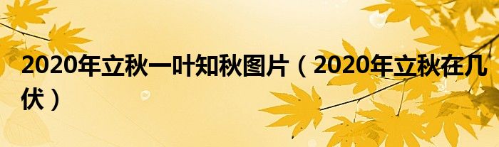 2020年立秋一叶知秋图片（2020年立秋在几伏）