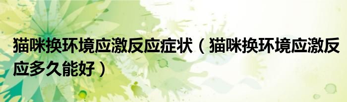 猫咪换环境应激反应症状（猫咪换环境应激反应多久能好）
