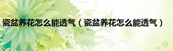 瓷盆养花怎么能透气（瓷盆养花怎么能透气）
