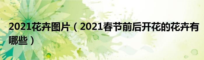 2021花卉图片（2021春节前后开花的花卉有哪些）