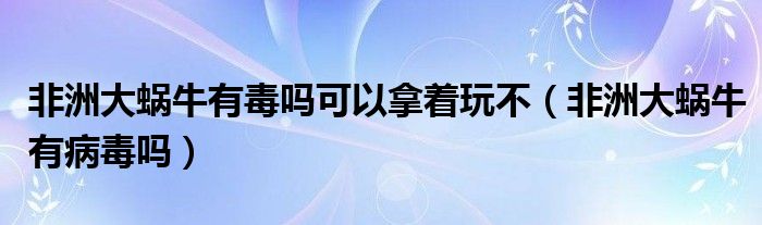 非洲大蜗牛有毒吗可以拿着玩不（非洲大蜗牛有病毒吗）