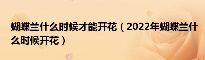 蝴蝶兰什么时候才能开花（2022年蝴蝶兰什么时候开花）
