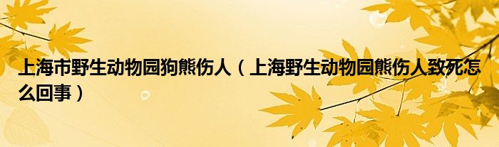 上海市野生动物园狗熊伤人（上海野生动物园熊伤人致死怎么回事）