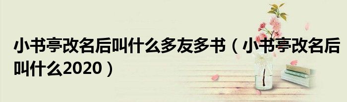 小书亭改名后叫什么多友多书（小书亭改名后叫什么2020）