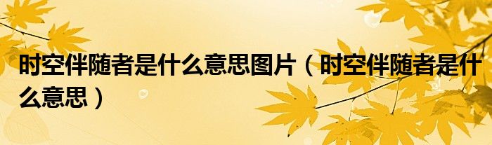 时空伴随者是什么意思图片（时空伴随者是什么意思）