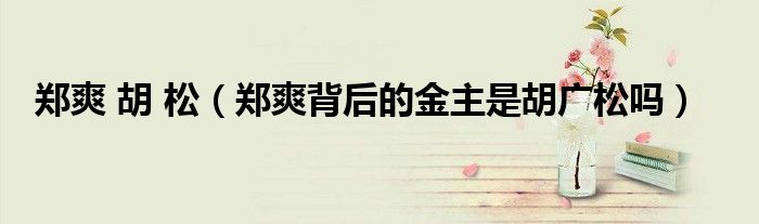 郑爽 胡 松（郑爽背后的金主是胡广松吗）