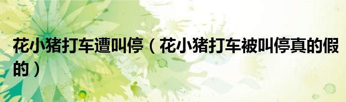 花小猪打车遭叫停（花小猪打车被叫停真的假的）