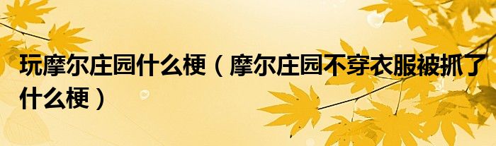 玩摩尔庄园什么梗（摩尔庄园不穿衣服被抓了什么梗）