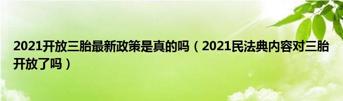 2021开放三胎最新政策是真的吗（2021民法典内容对三胎开放了吗）