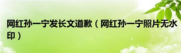 网红孙一宁发长文道歉（网红孙一宁照片无水印）