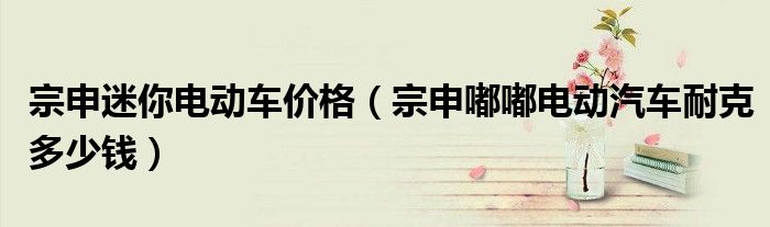 宗申迷你电动车价格（宗申嘟嘟电动汽车耐克多少钱）